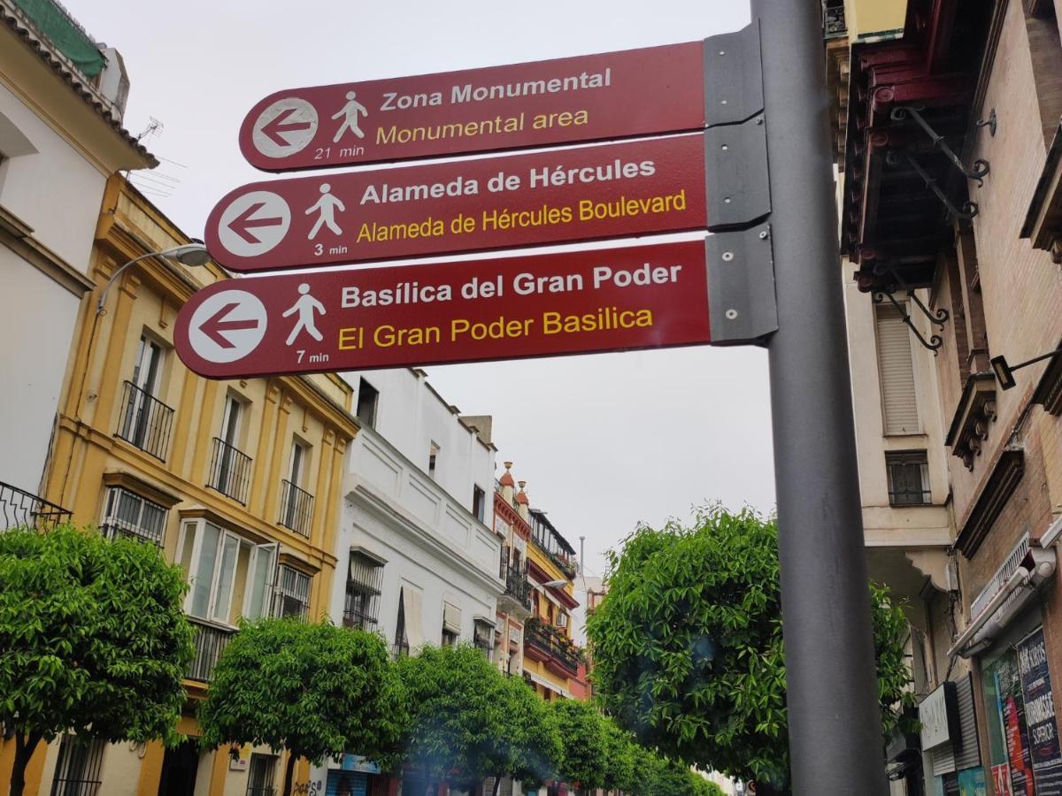 Estudio Rufina.Tranquilidad ,Alameda De Hercules! Sevilla Exteriör bild